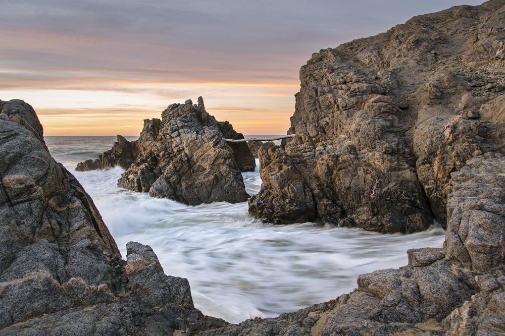 Photograph by Noe Castro