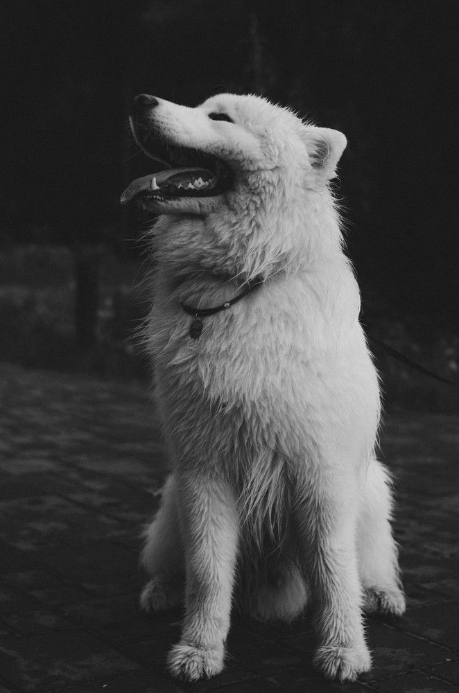 Photograph by Артур Бабасян