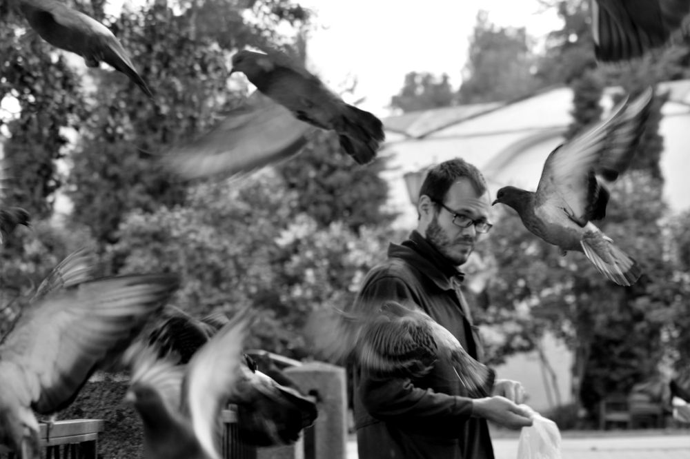 Photograph by Татьяна Помогалова