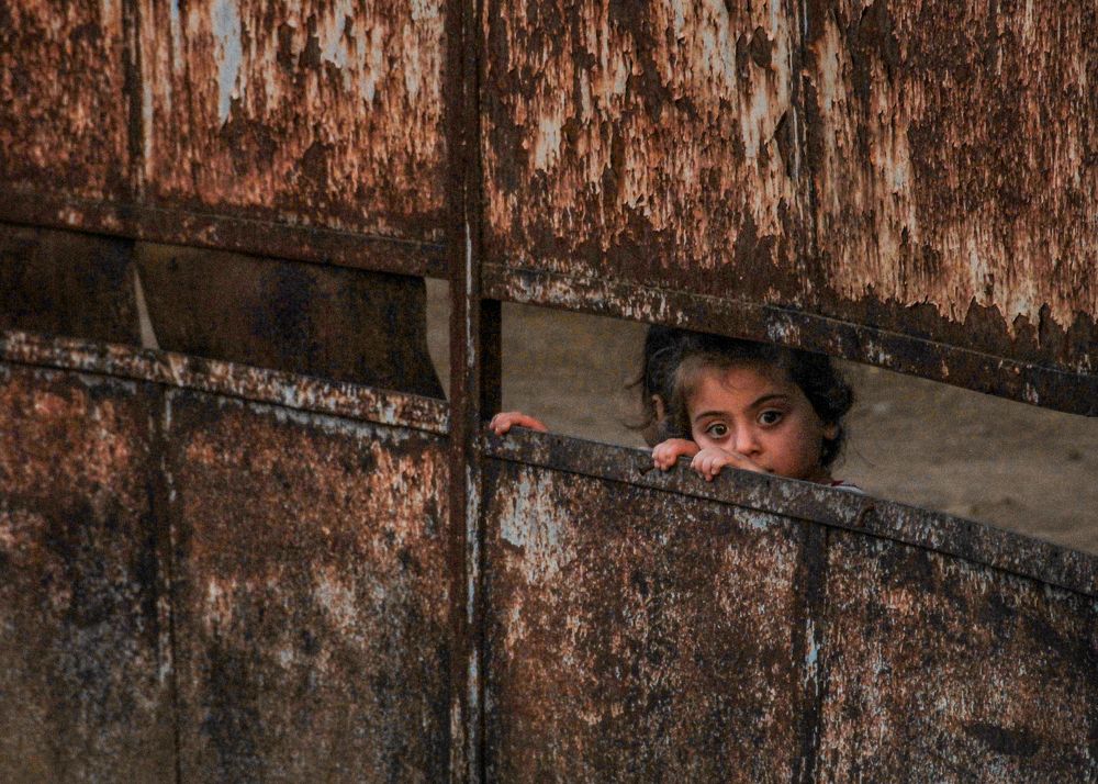 Фотография автора Mikheil Darsavelidze