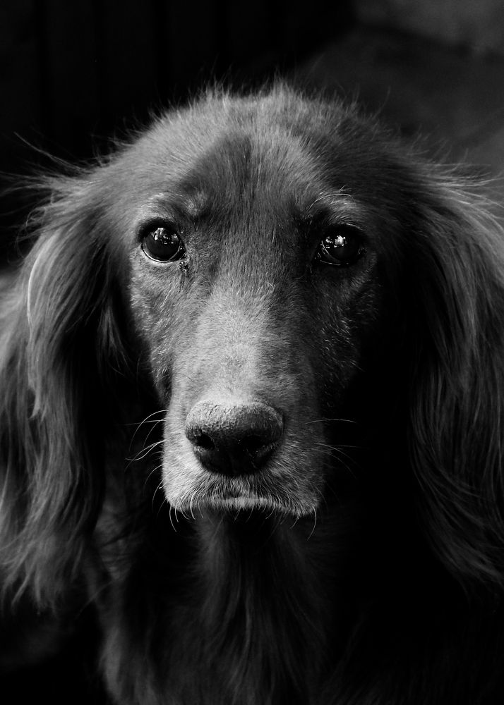 Фотография автора Mikheil Darsavelidze