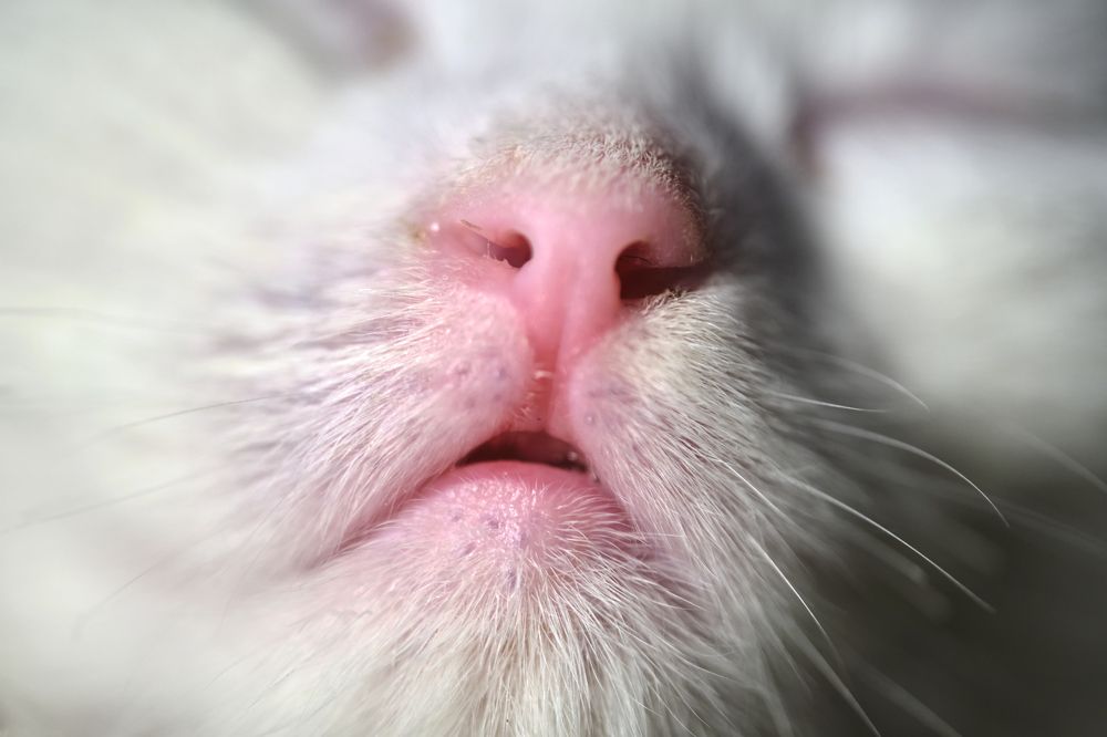 Photograph by Руслан Ибрагимов