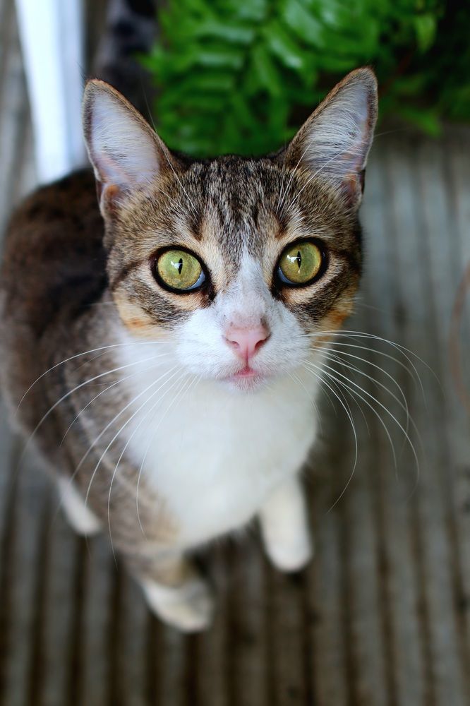 Photograph by Enmanuel Hassan