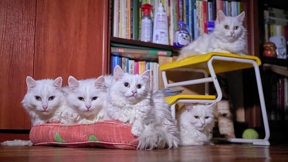 Photograph by Руслан Ибрагимов