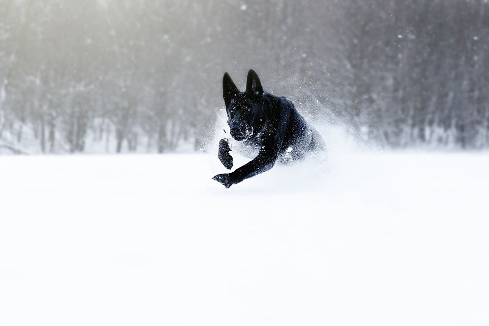 Photograph by Елена Вьюркова