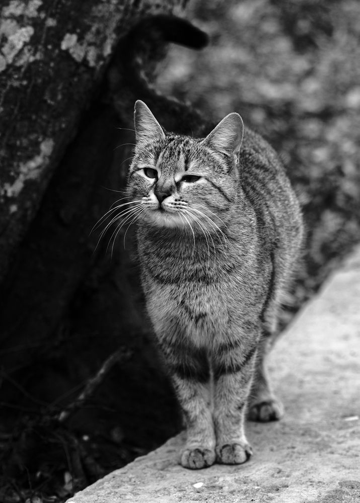 Photograph by Лейла Прощина