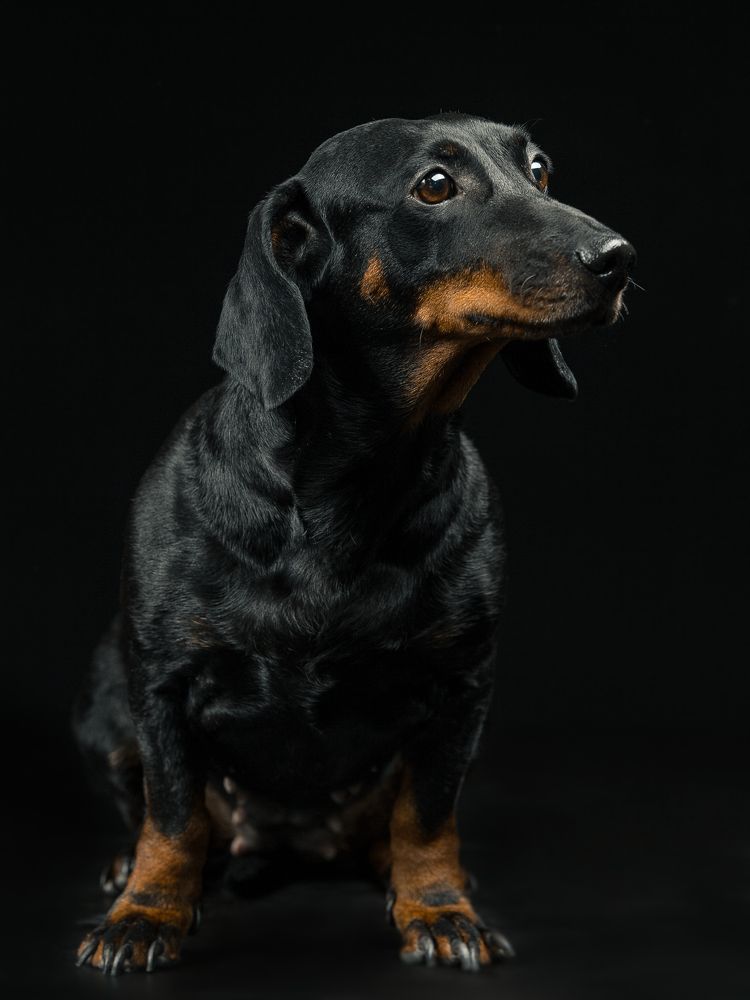 Photograph by Кристина Дугина