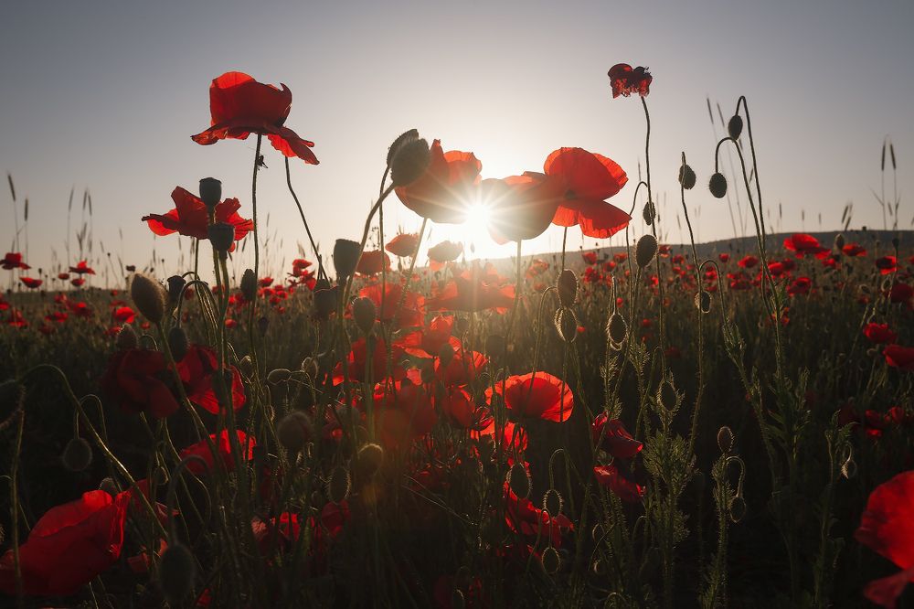 Ура, каникулы!