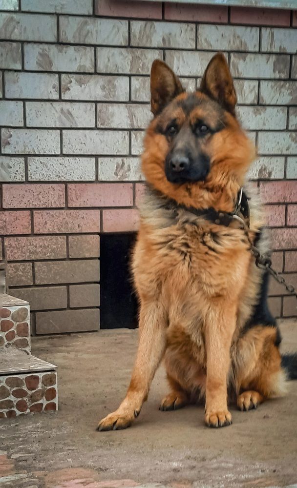 Photograph by Светлана Моисеева