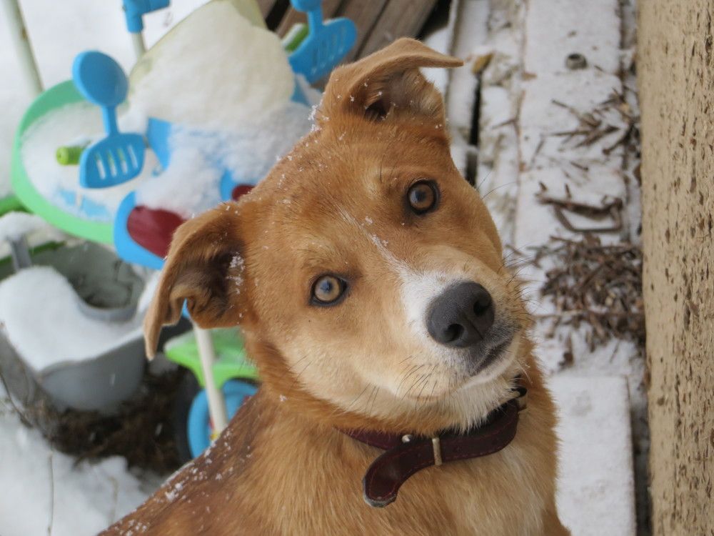 Photo #7678121