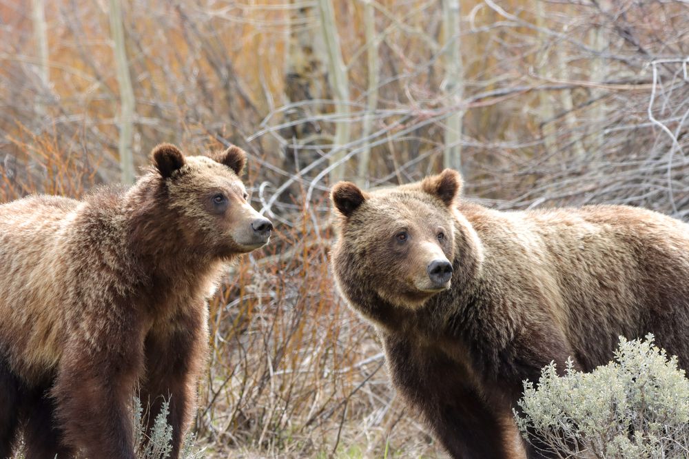 Photograph by Kristy Behnke