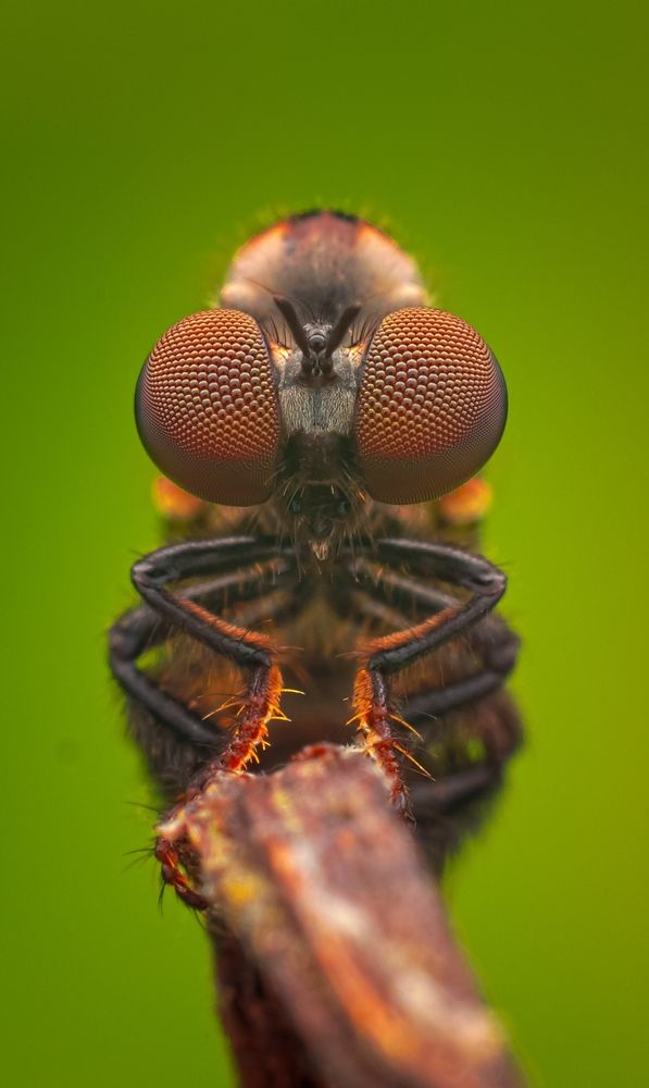 Photograph by Azhar Hotplate