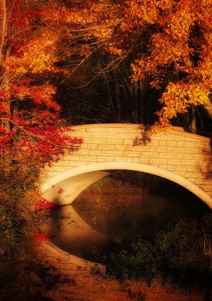 Photograph by Cindy Flick