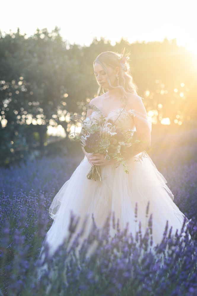 Photograph by Karolina Ferbei