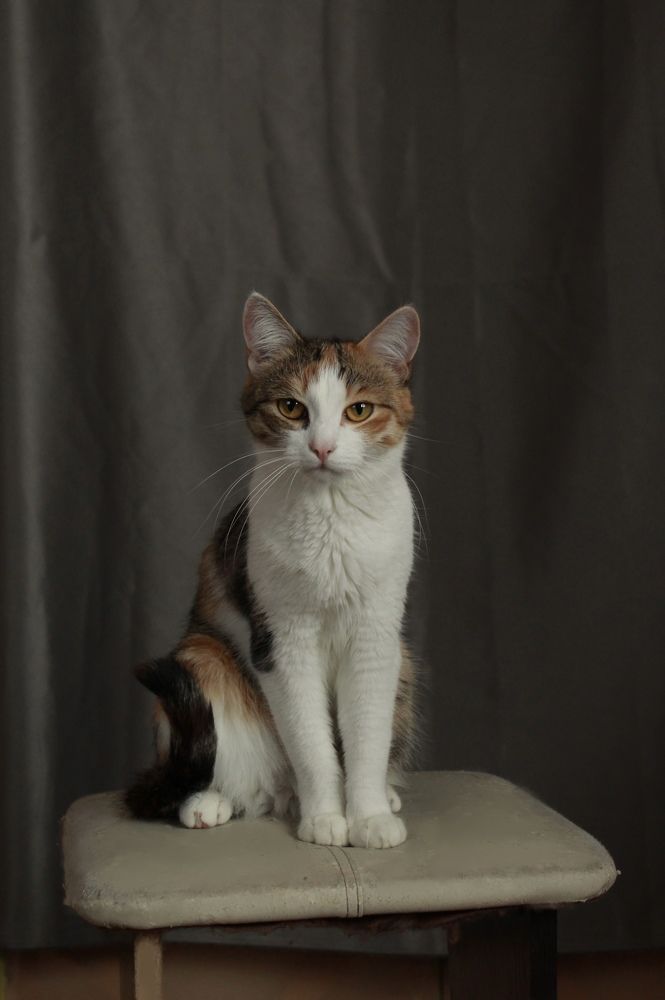 Photograph by Анастасия Медовник