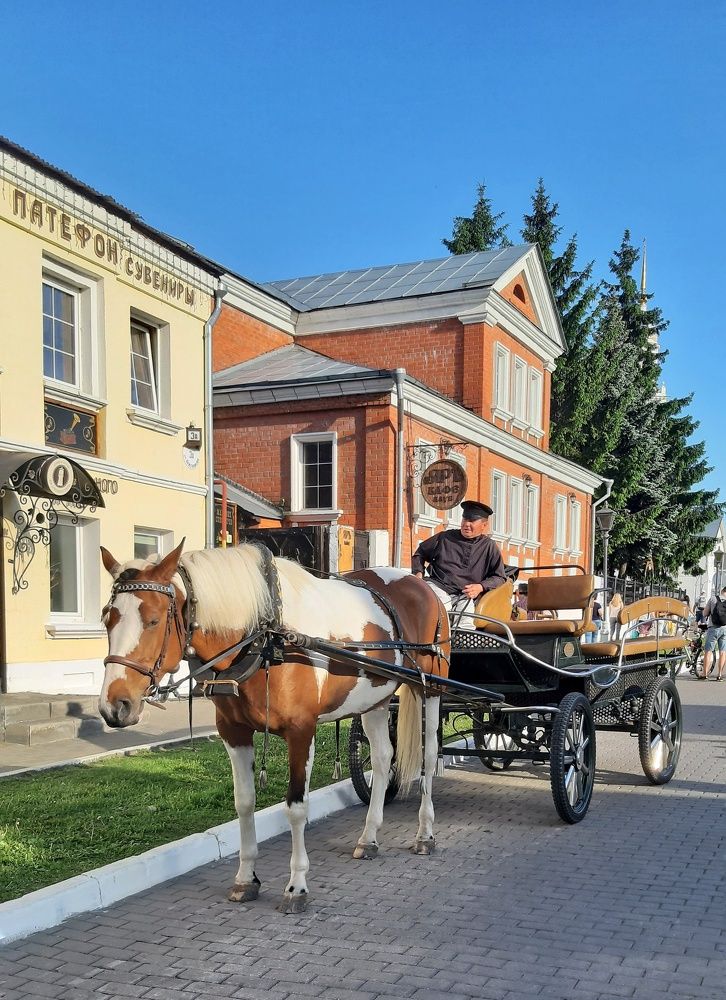 Коломенский ямщик.