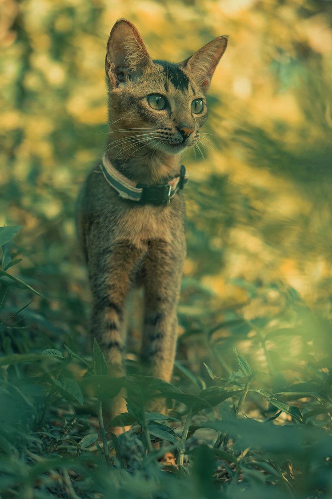 Photograph by Mark Acal