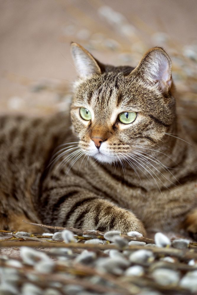 Photograph by Анна Гриневич