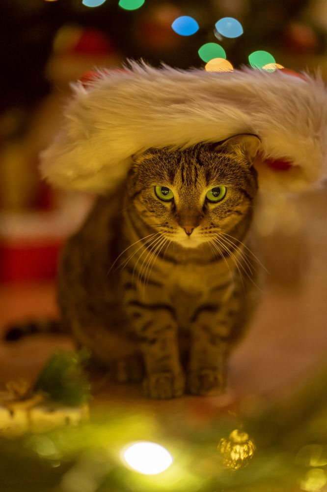 Photograph by Анна Гриневич