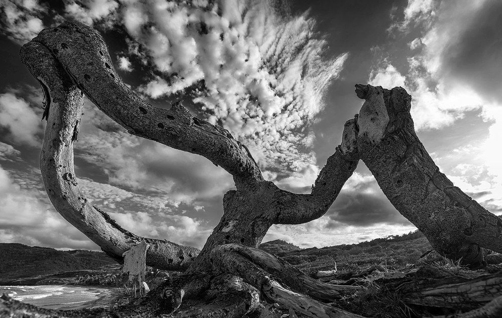 Photograph by Plamen