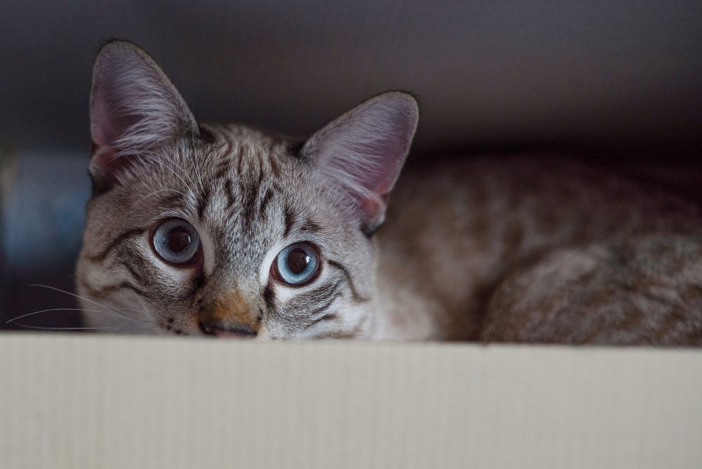 Photograph by Наталья Сенотрусова