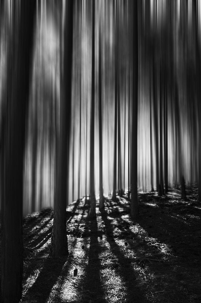 Photograph by Rox Boyer