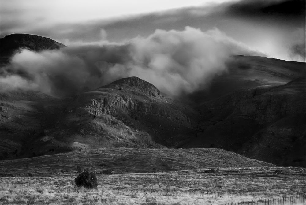 Photograph by Rox Boyer