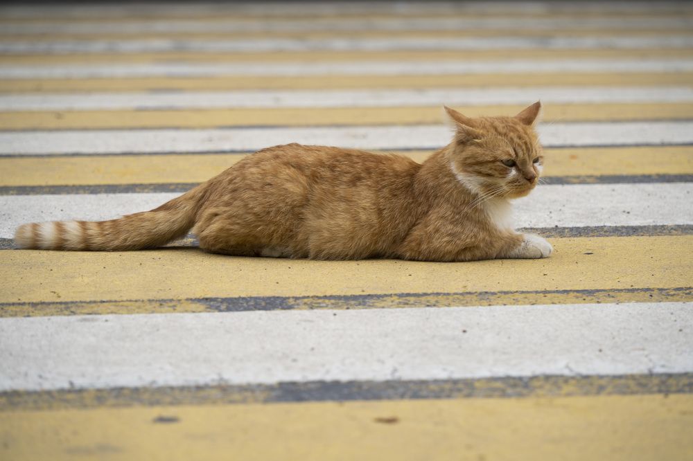 Photograph by косяк