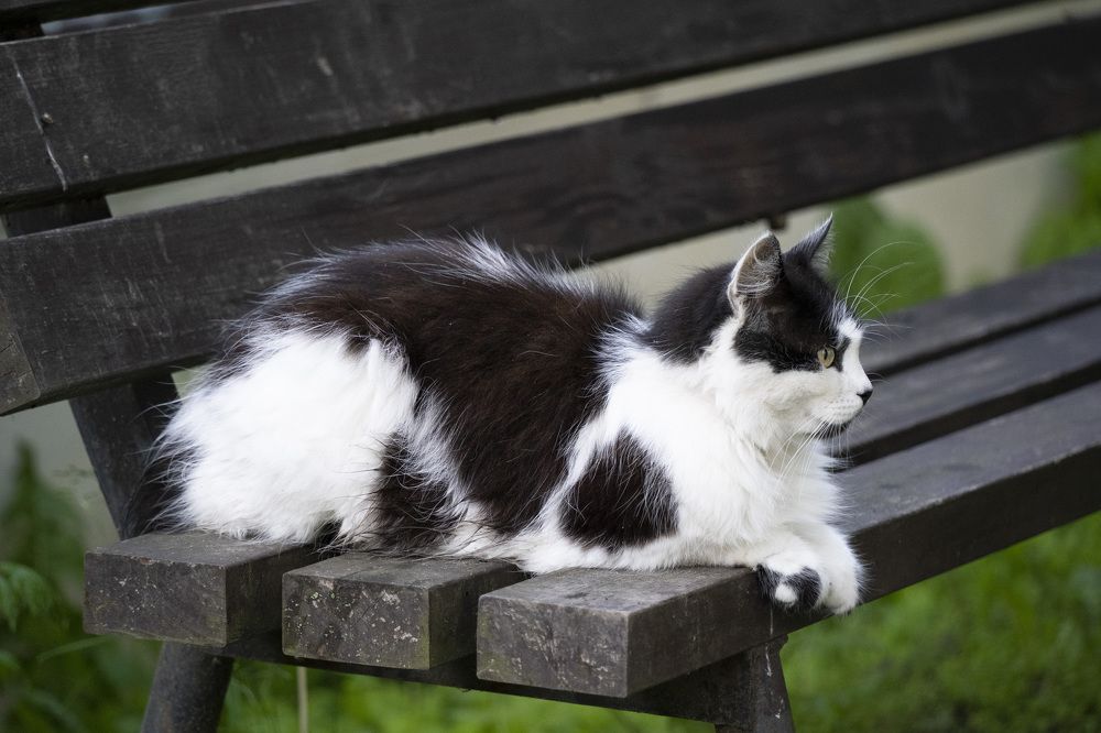 Photograph by косяк