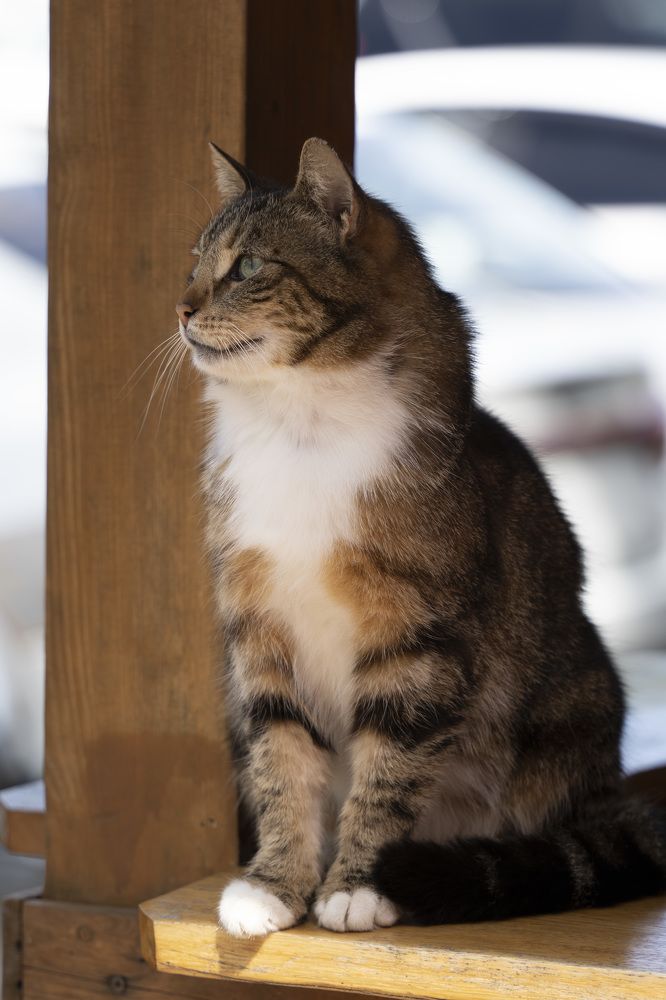 Photograph by косяк