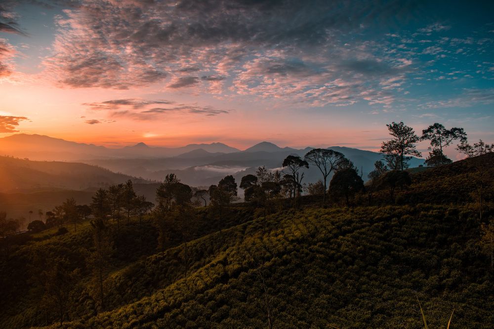 Photograph by Alif Fachrudin