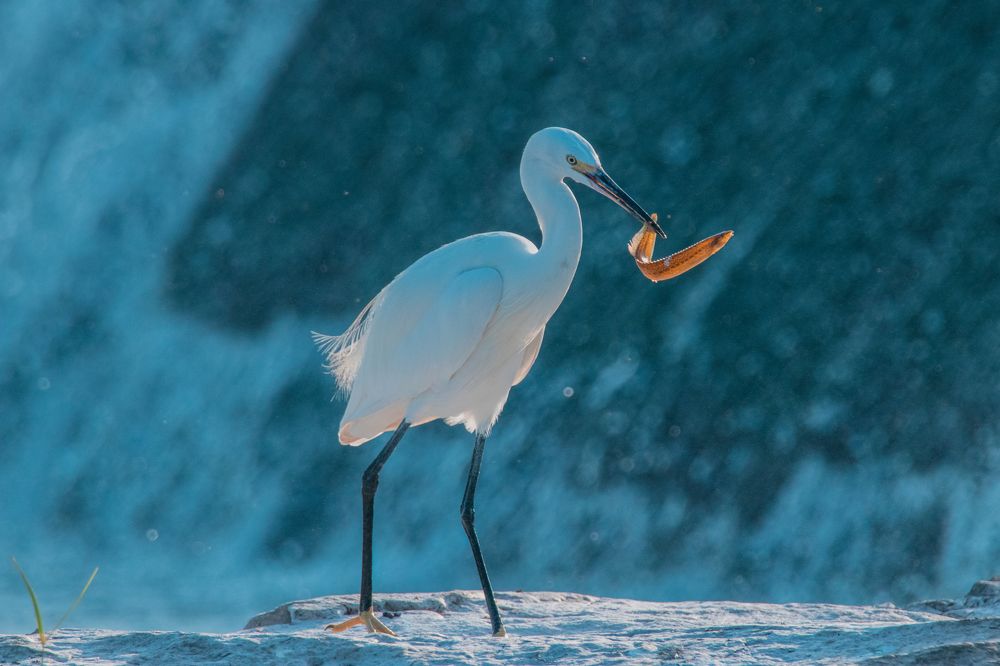 Photograph by Prince sakhiya