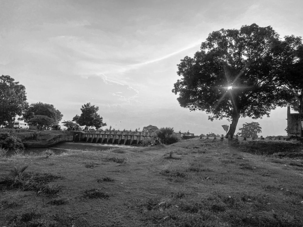 Photograph by Abdul Azeez Mohamed Ashif