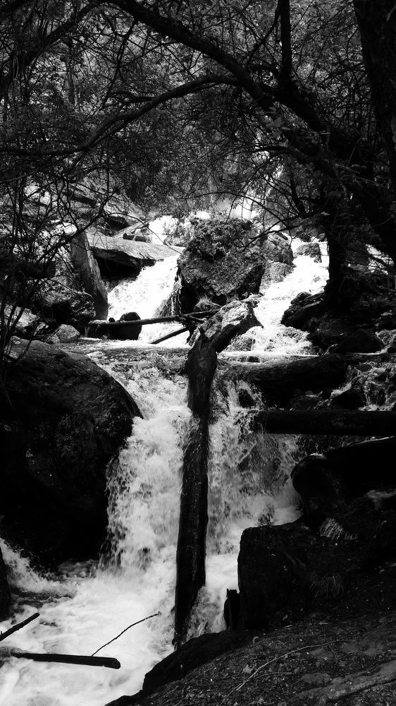 Photograph by Светлана Шиляева