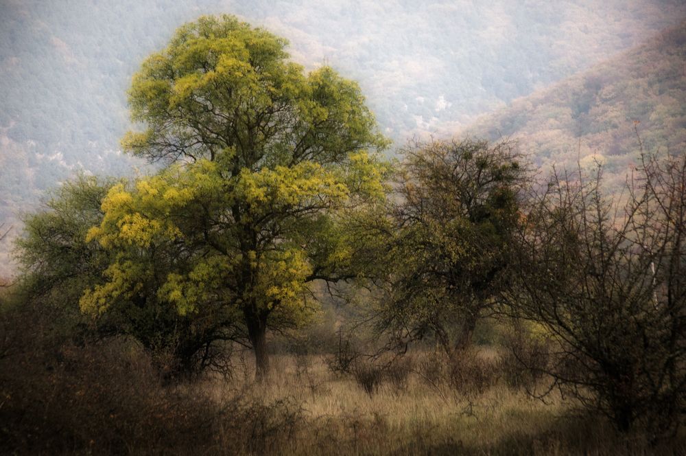 Photograph by  AlexSa