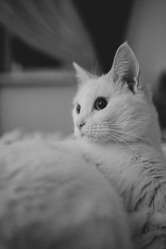 Photograph by Татьяна Классен