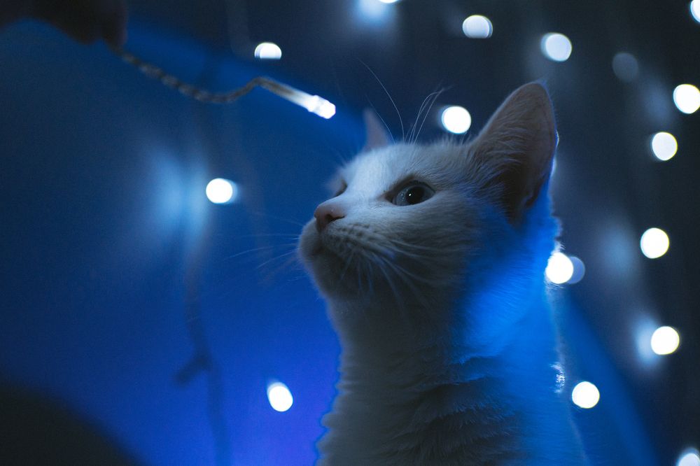 Photograph by Татьяна Классен