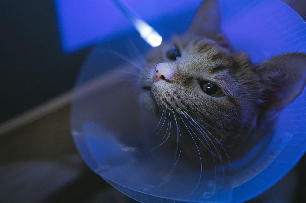 Photograph by Татьяна Классен