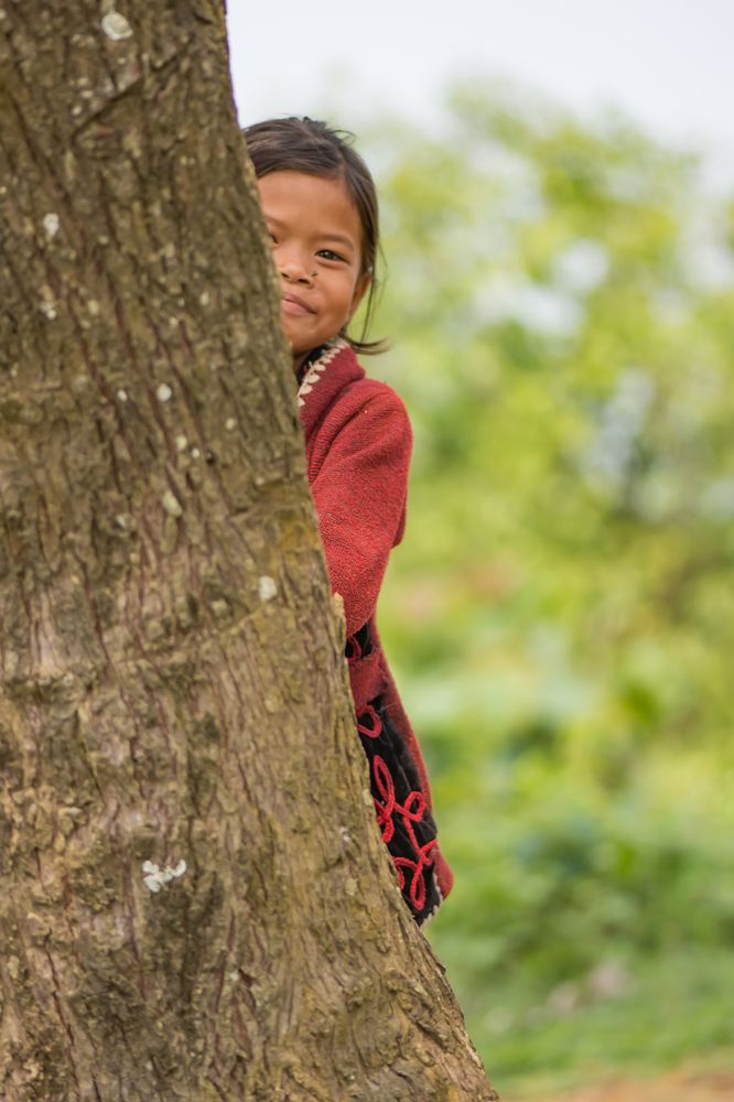 Фотография автора Dipayan Debbarma