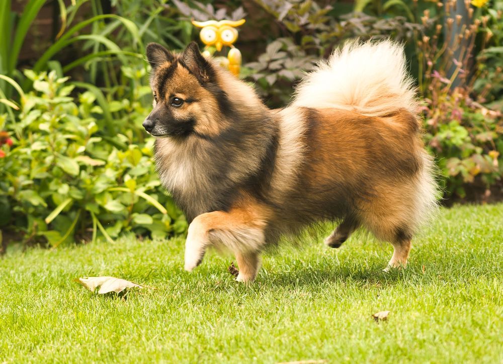 Photograph by Wendy Vanhoudt