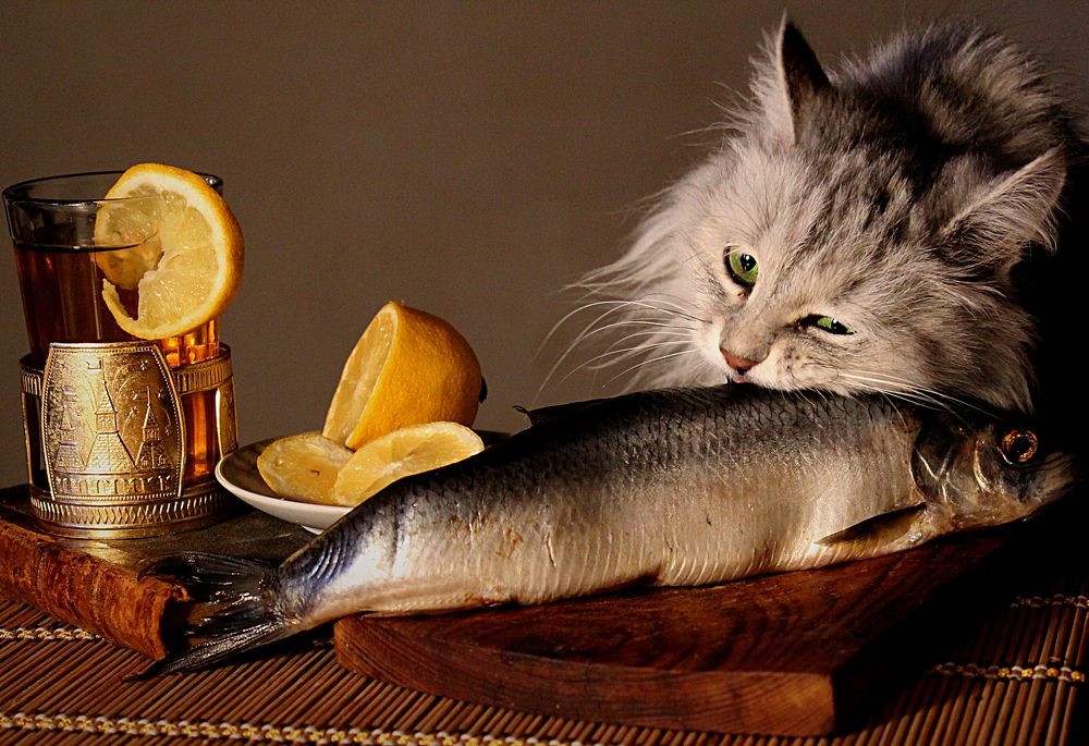 Photograph by Зоя Быкова