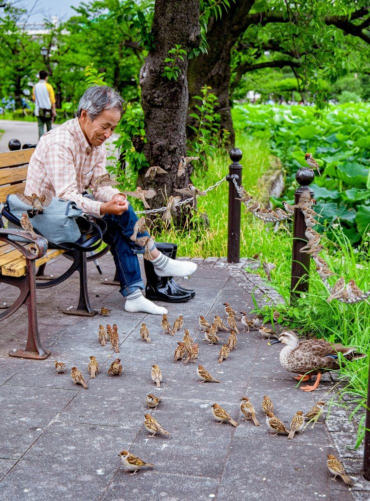 Photograph by quanh lê