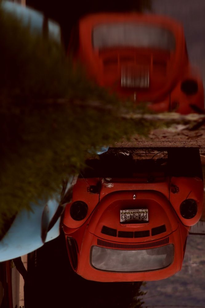 Photograph by Andrea Alcalá