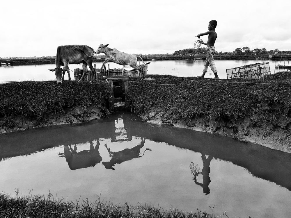 Photograph by DEBRAJ BISWAS