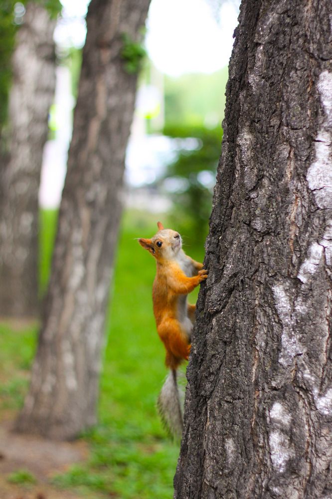 Photograph by Жанна Цветкова