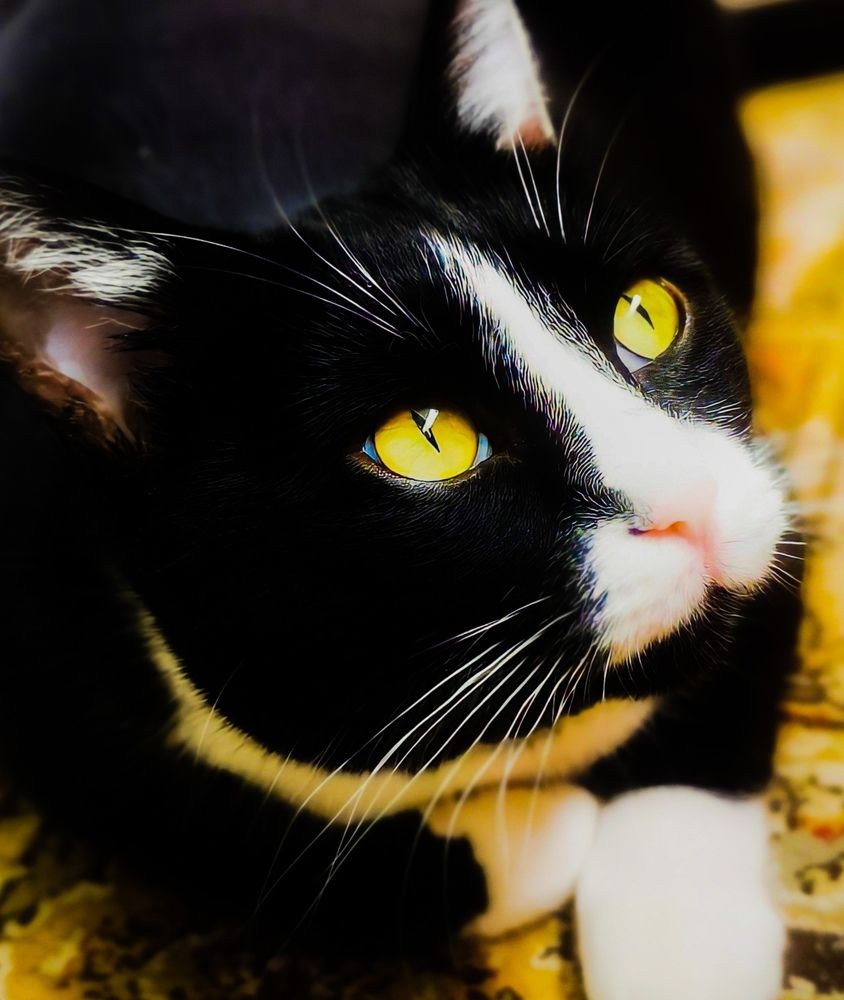 Photograph by Татьяна Чернышова