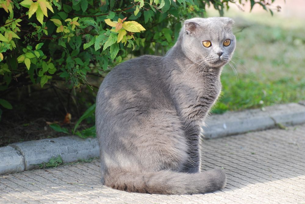 Photograph by Оксана Трофименко