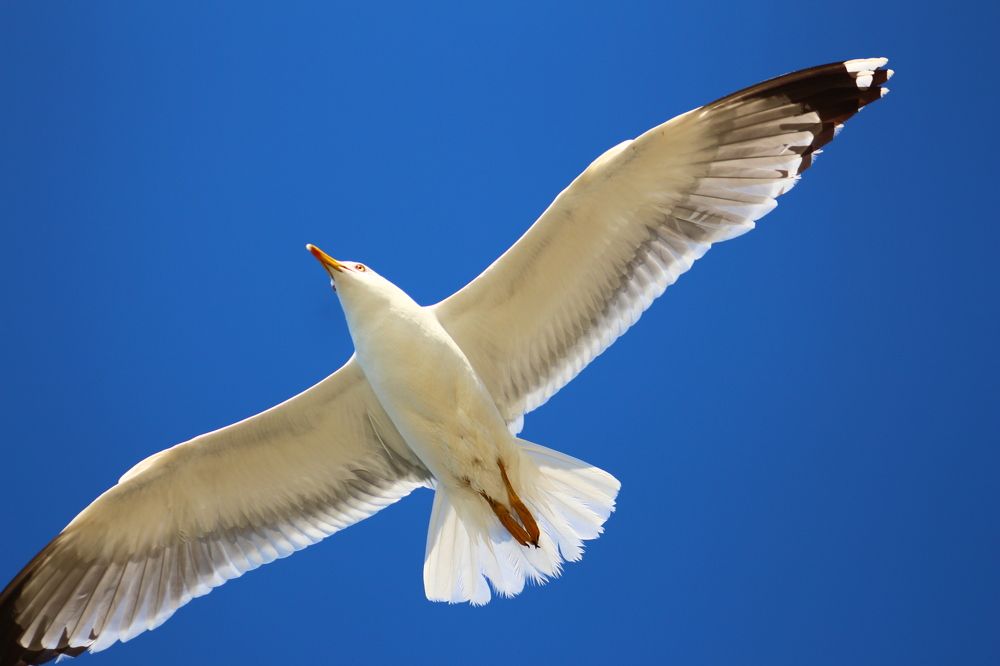 Photograph by Musa Abdulehed ER