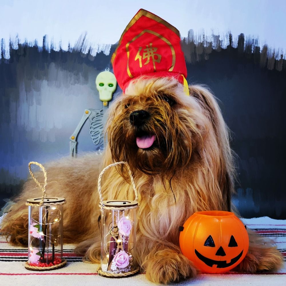 Фотография автора Adiebert Cornejo