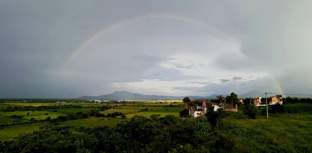 Photograph by Andrea Alcalá